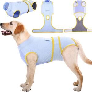 Kuoser recovery suit for dogs after surgery in light blue and yellow.